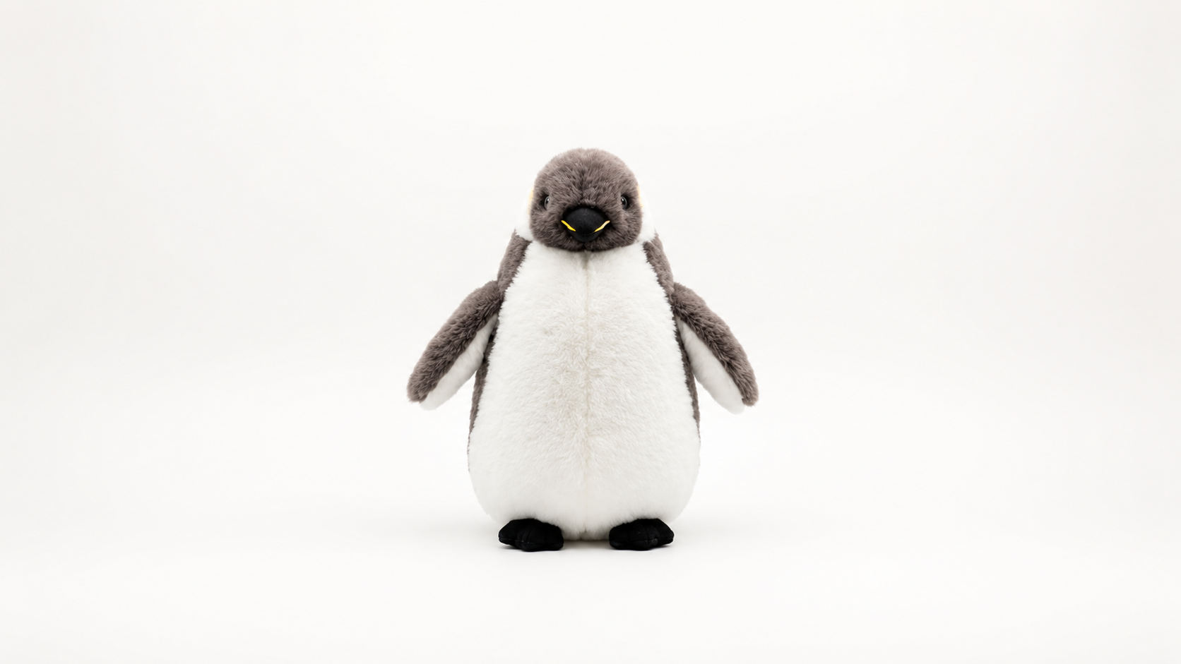 Penguin & Co.