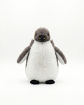 Marcho Realistic Emperor Penguin Plush | Penguin & Co.