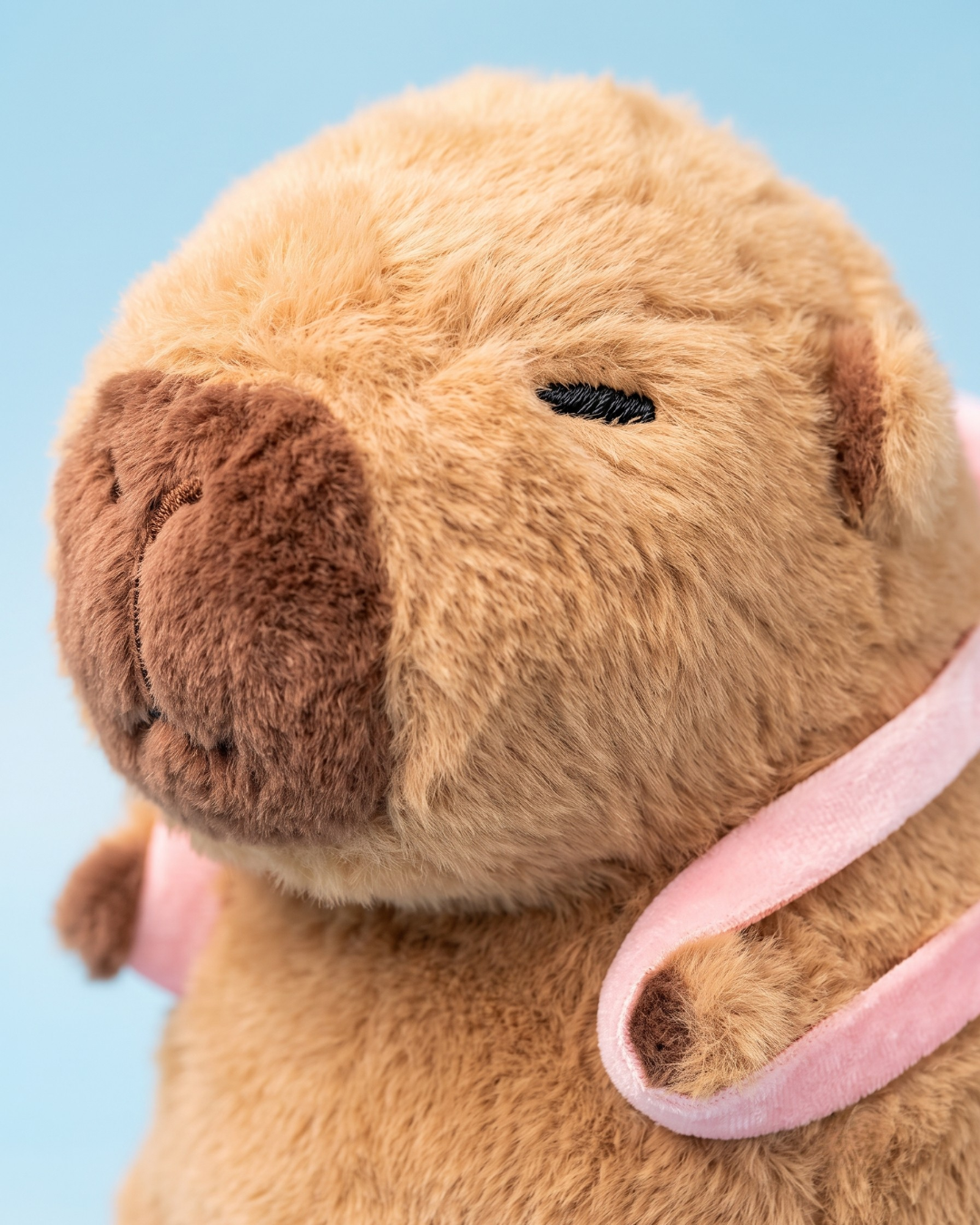 Squido Capybara Plush with Octopus Bag | The Unbothered Capybara & Co.