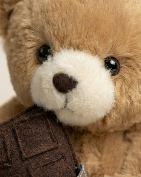 Chocolate Holding Teddy Bear – Perfect Valentine & Anniversary Gift